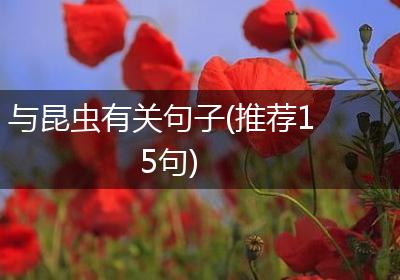 与昆虫有关句子(推荐15句)
