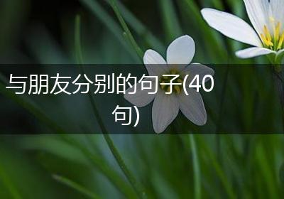 与朋友分别的句子(40句)