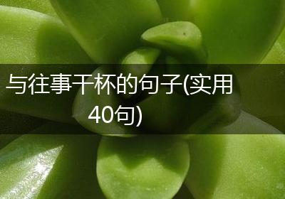 与往事干杯的句子(实用40句)