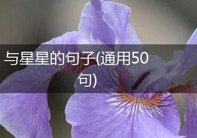 与星星的句子(通用50句)