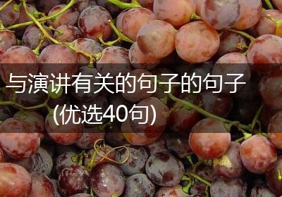 与演讲有关的句子的句子(优选40句)