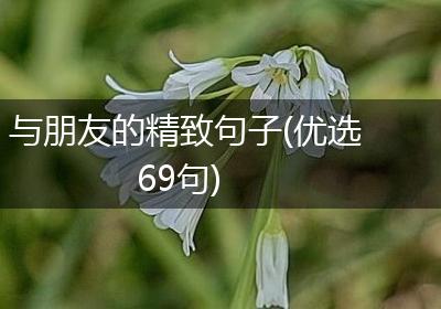 与朋友的精致句子(优选69句)