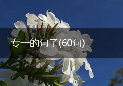 专一的句子(60句)