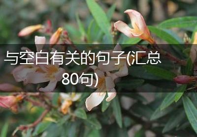 与空白有关的句子(汇总80句)