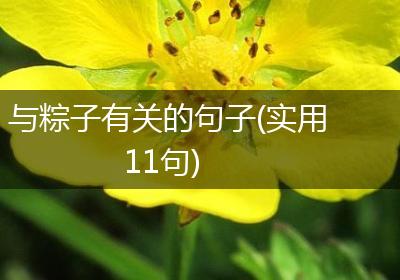 与粽子有关的句子(实用11句)