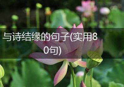 与诗结缘的句子(实用80句)