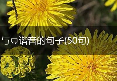 与豆谐音的句子(50句)