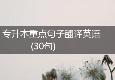 专升本重点句子翻译英语(30句)