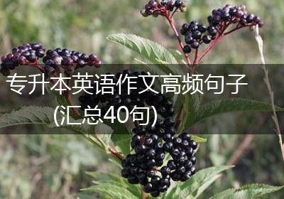 专升本英语作文高频句子(汇总40句)