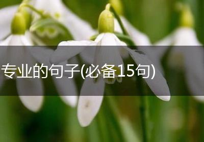 专业的句子(必备15句)