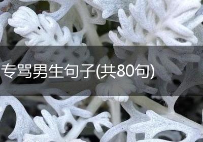 专骂男生句子(共80句)