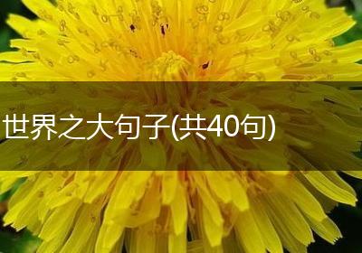 世界之大句子(共40句)