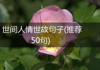 世间人情世故句子(推荐50句)