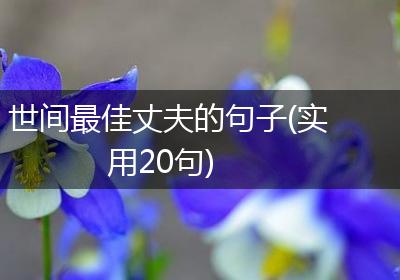 世间最佳丈夫的句子(实用20句)