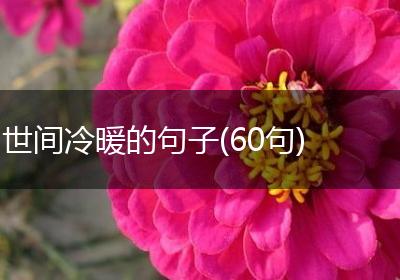 世间冷暖的句子(60句)