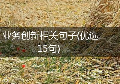 业务创新相关句子(优选15句)