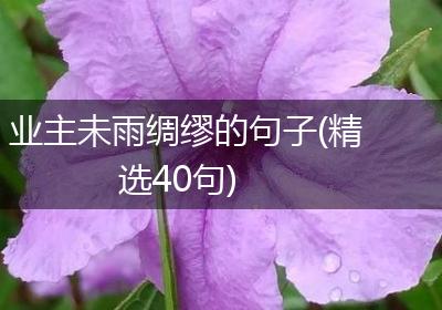 业主未雨绸缪的句子(精选40句)