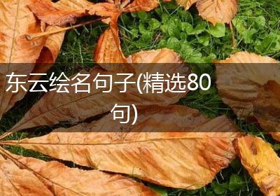 东云绘名句子(精选80句)