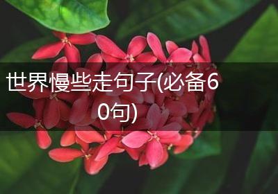 世界慢些走句子(必备60句)