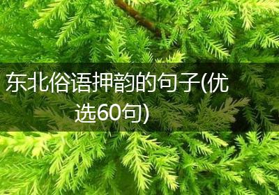 东北俗语押韵的句子(优选60句)