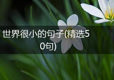 世界很小的句子(精选50句)