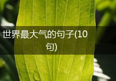 世界最大气的句子(10句)