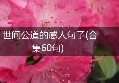 世间公道的感人句子(合集60句)
