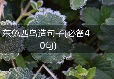 东兔西乌造句子(必备40句)