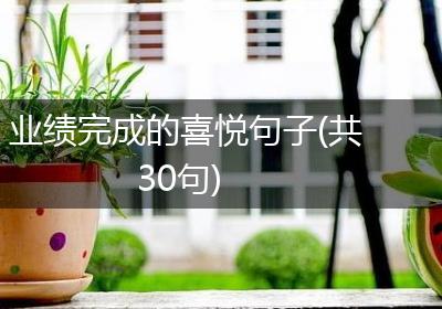 业绩完成的喜悦句子(共30句)