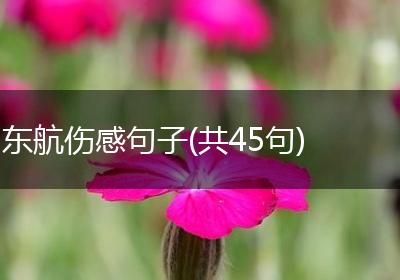 东航伤感句子(共45句)