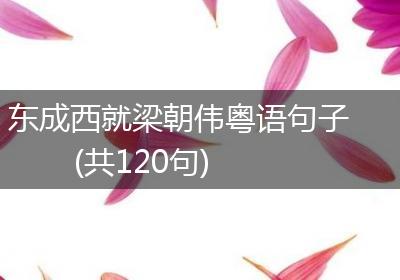 东成西就梁朝伟粤语句子(共120句)