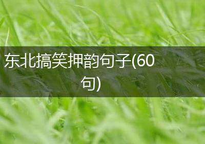 东北搞笑押韵句子(60句)