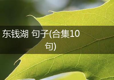 东钱湖 句子(合集10句)