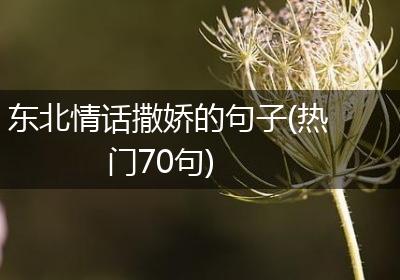 东北情话撒娇的句子(热门70句)