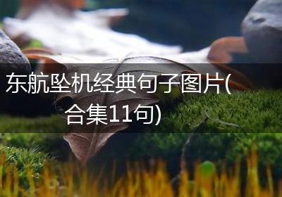 东航坠机经典句子图片(合集11句)