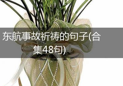 东航事故祈祷的句子(合集48句)