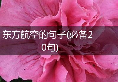 东方航空的句子(必备20句)