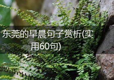 东莞的早晨句子赏析(实用60句)
