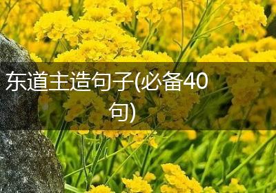 东道主造句子(必备40句)