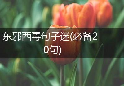 东邪西毒句子迷(必备20句)