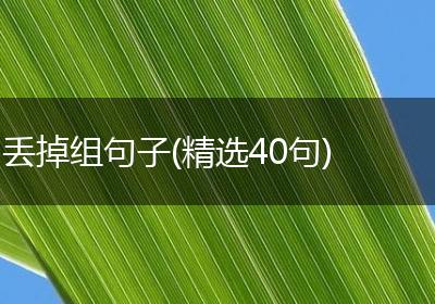 丢掉组句子(精选40句)