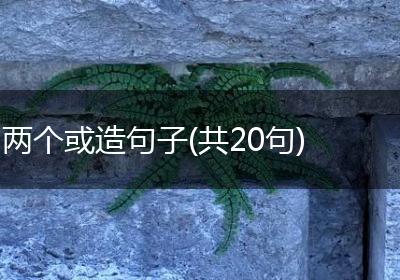两个或造句子(共20句)