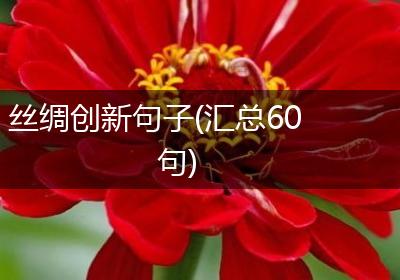 丝绸创新句子(汇总60句)