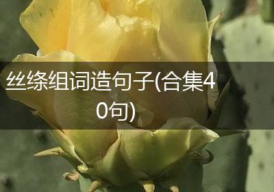 丝绦组词造句子(合集40句)
