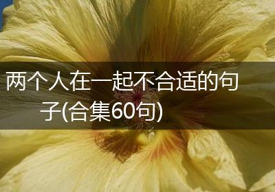 两个人在一起不合适的句子(合集60句)