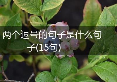 两个逗号的句子是什么句子(15句)