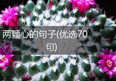 两颗心的句子(优选70句)