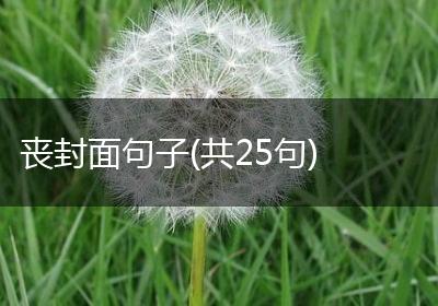 丧封面句子(共25句)