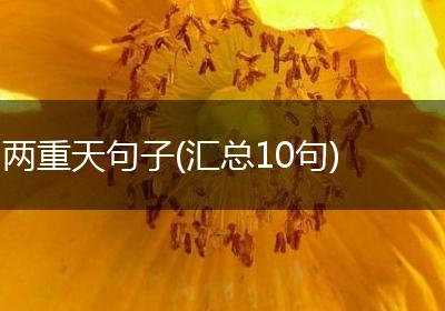 两重天句子(汇总10句)