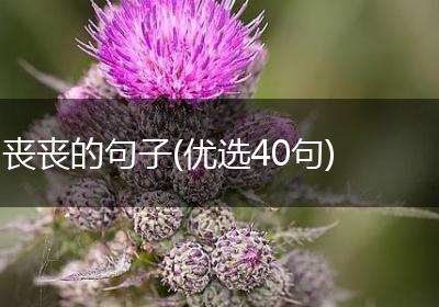 丧丧的句子(优选40句)